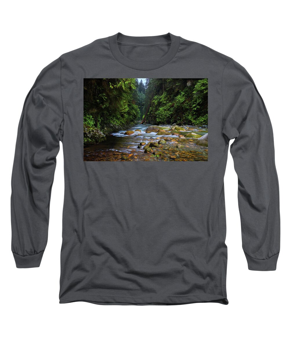 Alex Lyubar Long Sleeve T-Shirt featuring the pyrography Green Charming Wildlife Place by Alex Lyubar
