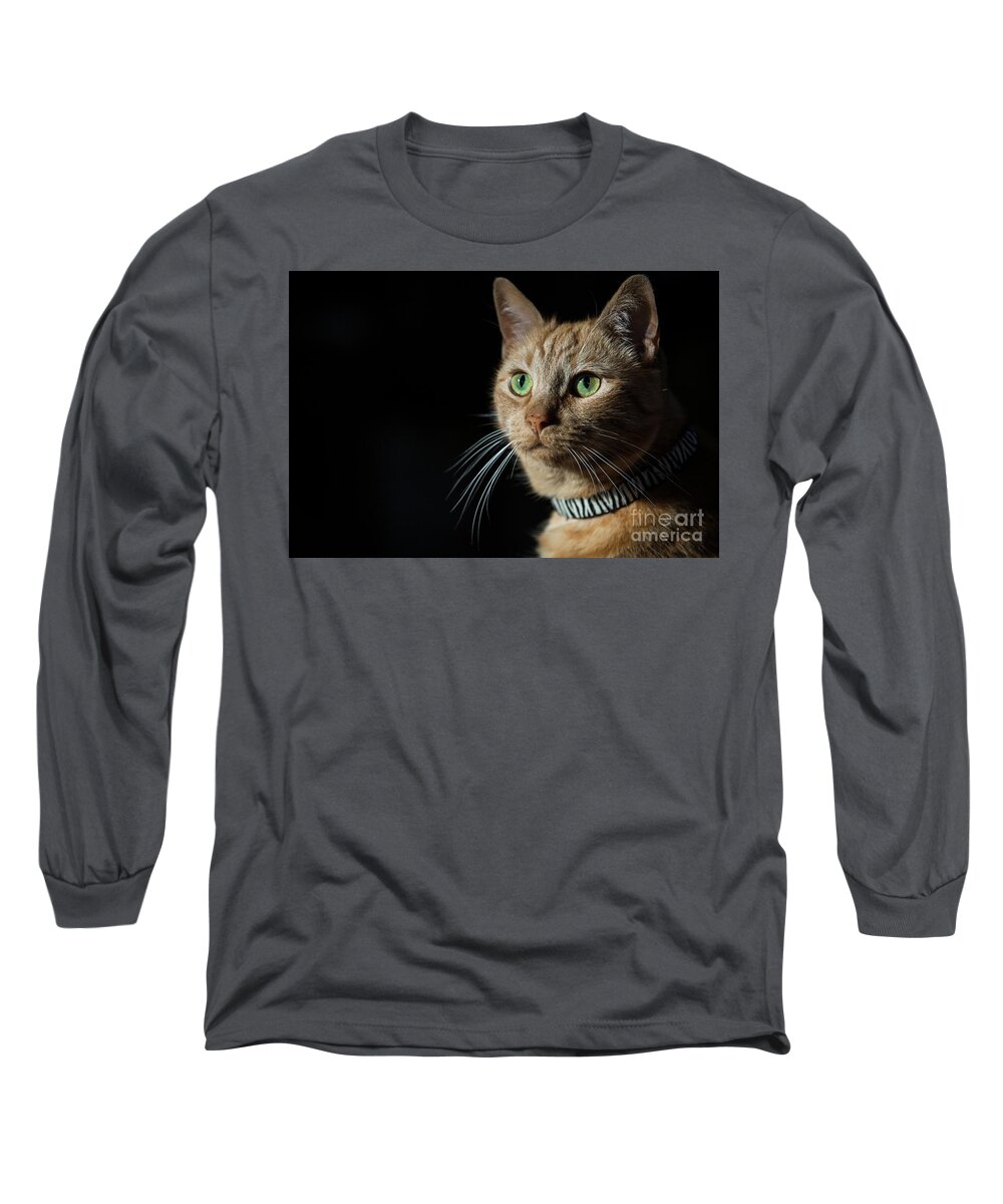 Cat Long Sleeve T-Shirt featuring the photograph Green Eyes by Erin Marie Davis