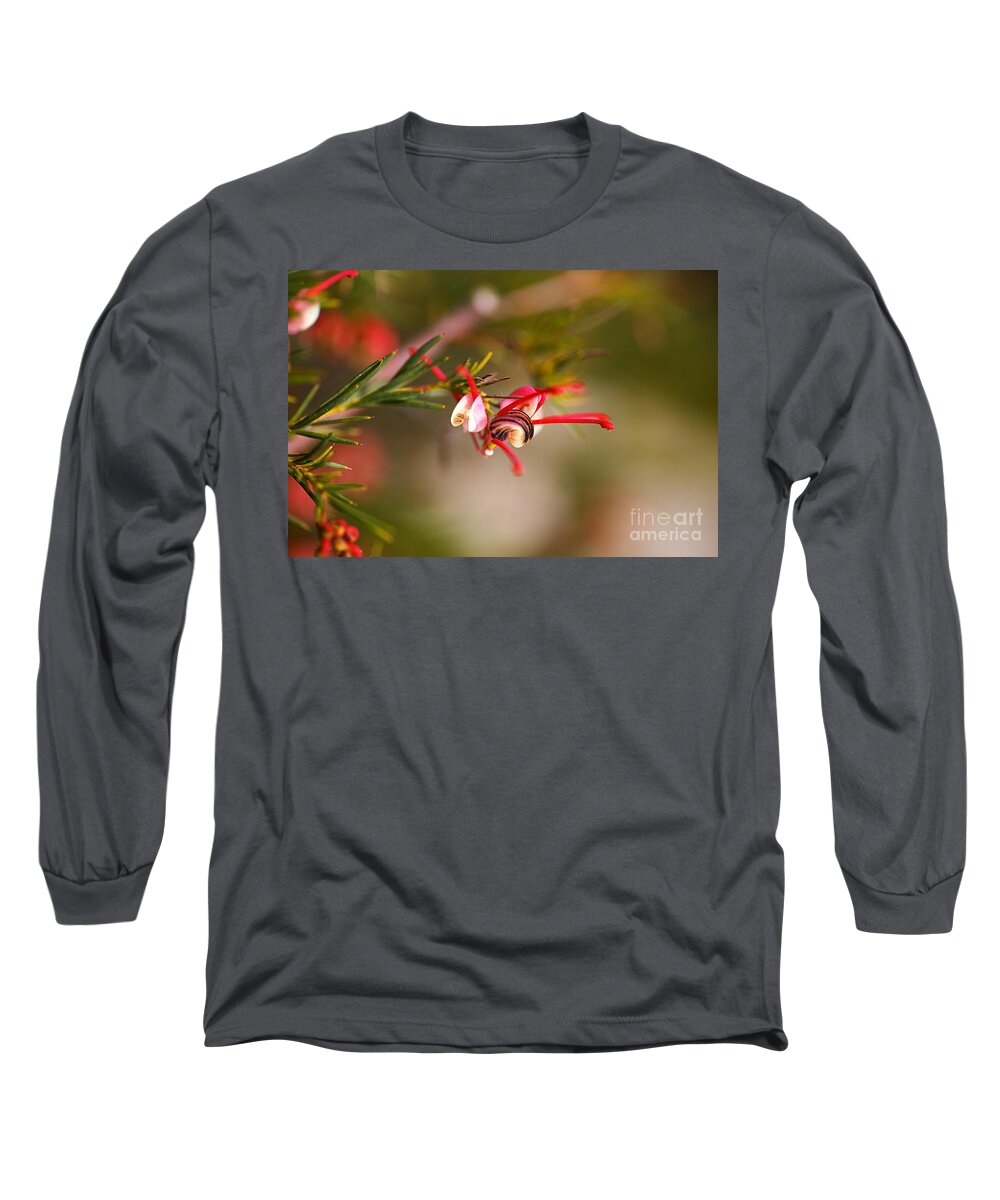 Grevillea Long Sleeve T-Shirt featuring the photograph Grevillea rosmarinifolia by Joy Watson
