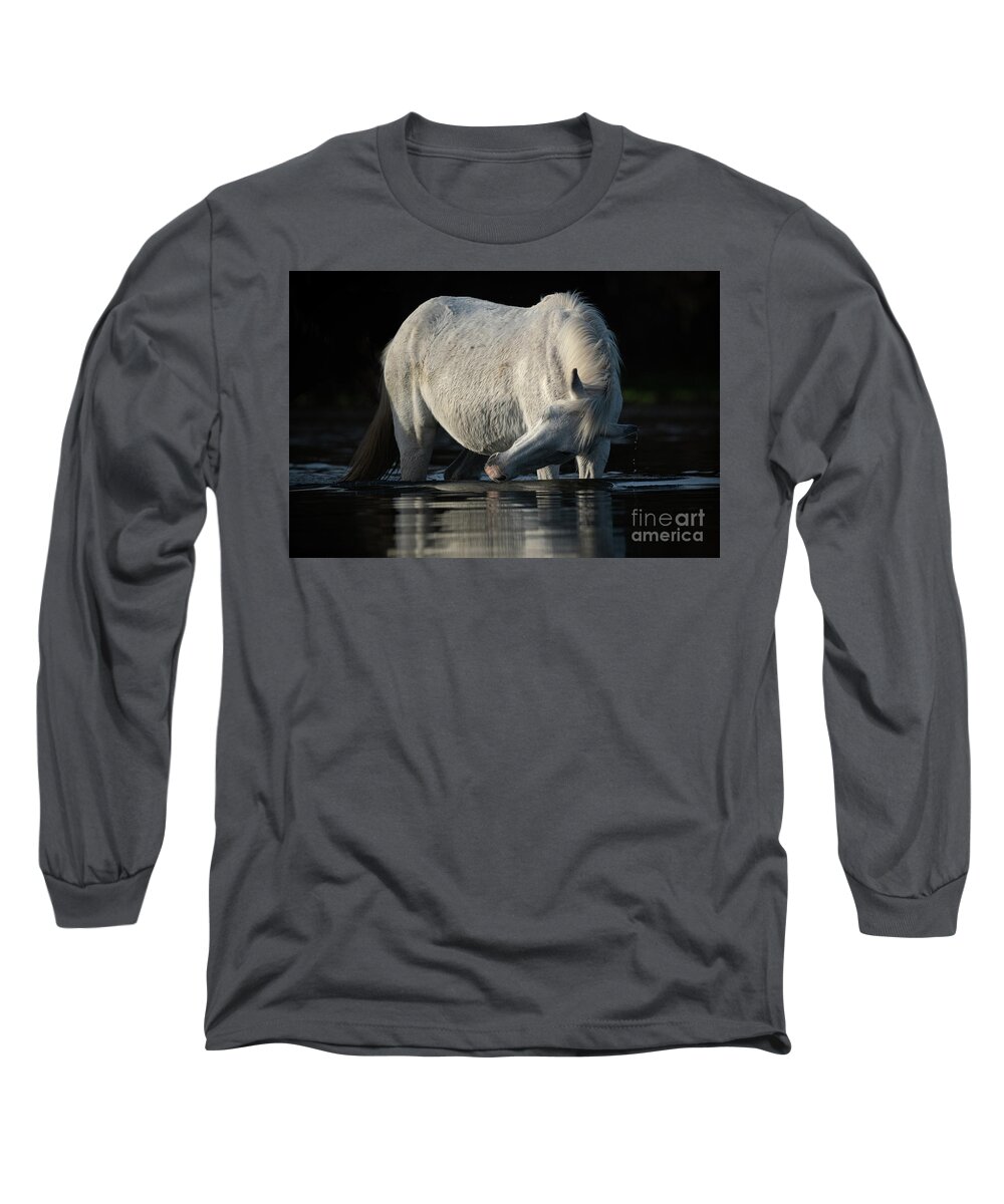 Salt River Wild Horse Long Sleeve T-Shirt featuring the photograph Grey Beauty by Shannon Hastings