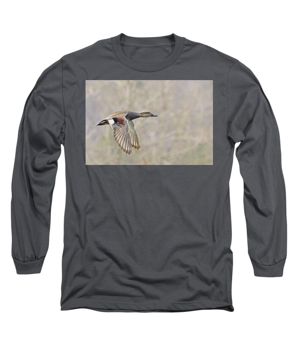 Duck Long Sleeve T-Shirt featuring the photograph Grey Duck in a grey background by Jim E Johnson