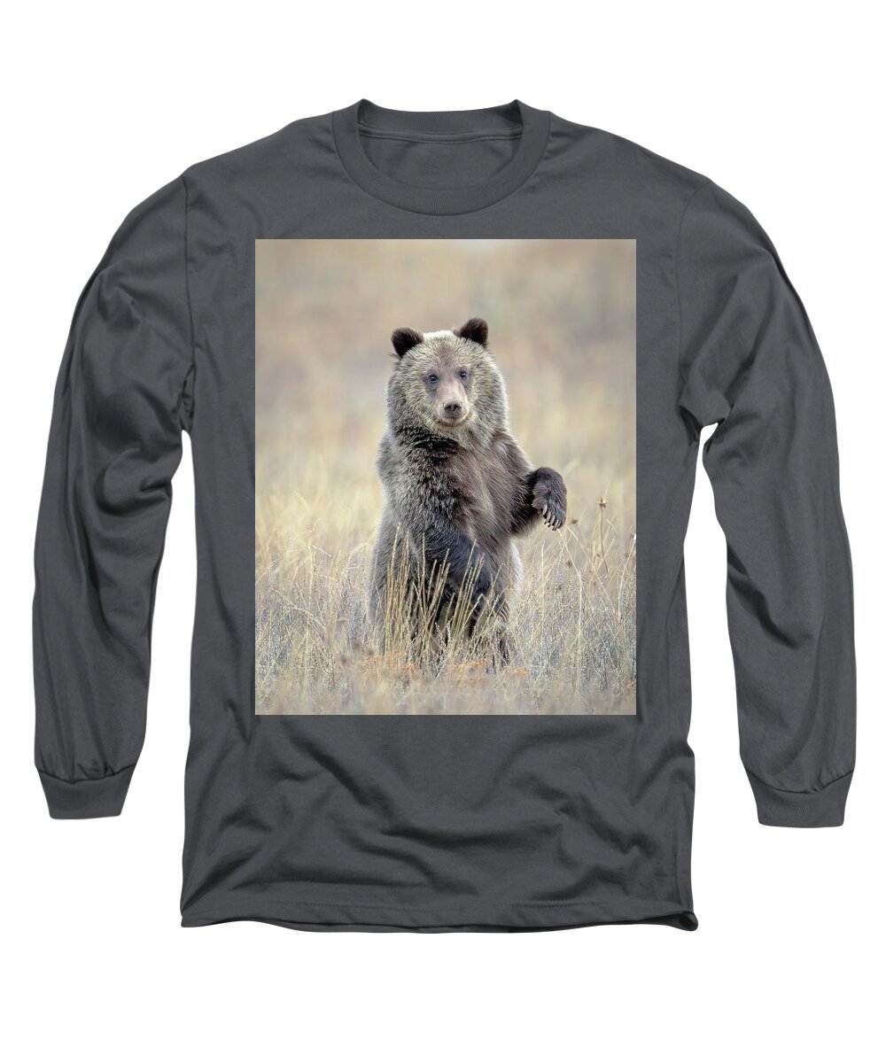 Grizzly Cub Long Sleeve T-Shirt featuring the photograph Grizzly Bear Cub Standing by Jack Bell