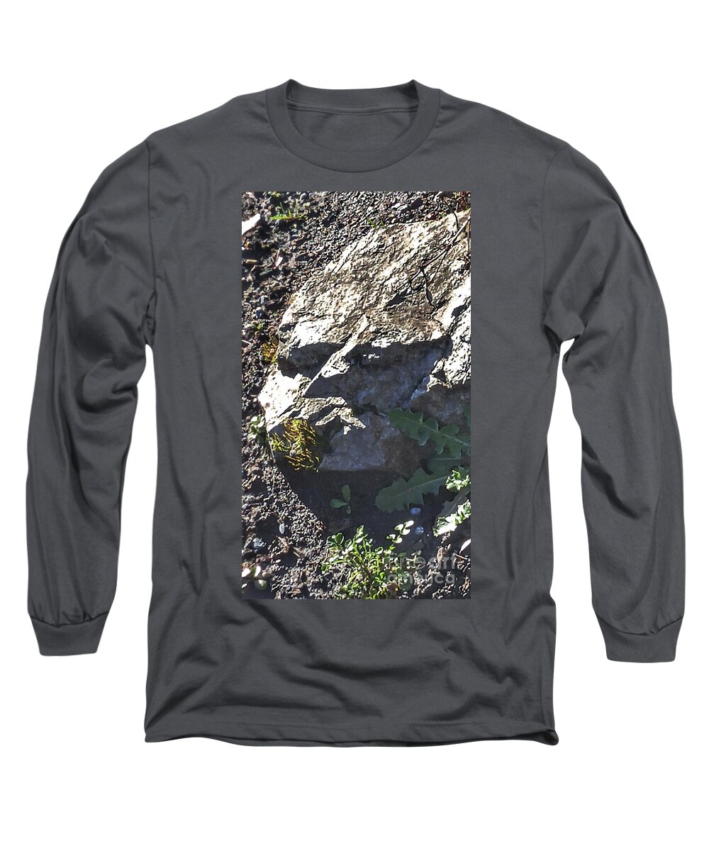 Stones Long Sleeve T-Shirt featuring the photograph Grumpy Rock by Kimberly Furey