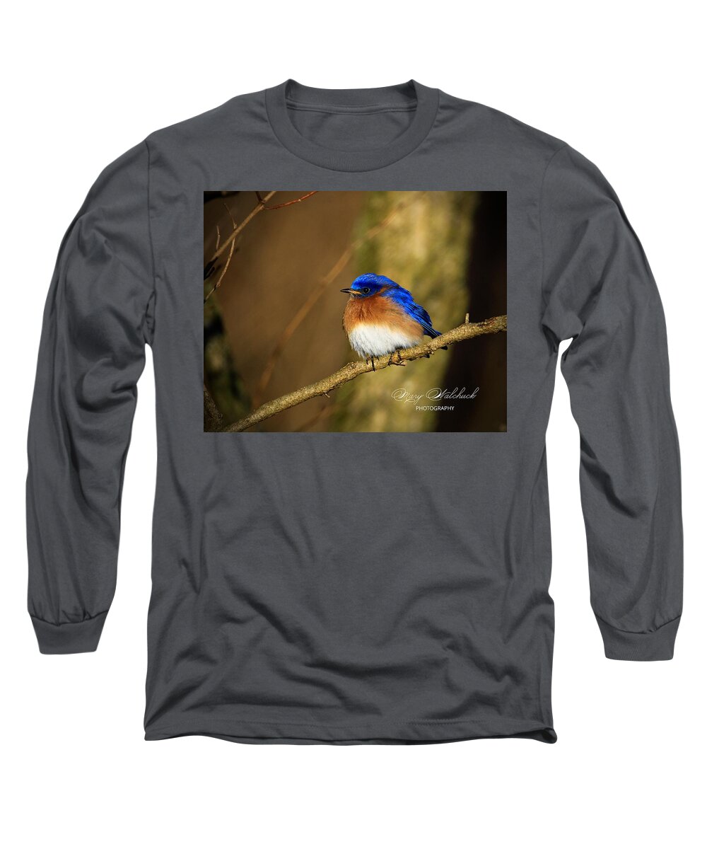 Eastern Bluebird Long Sleeve T-Shirt featuring the photograph Happiness by Mary Walchuck