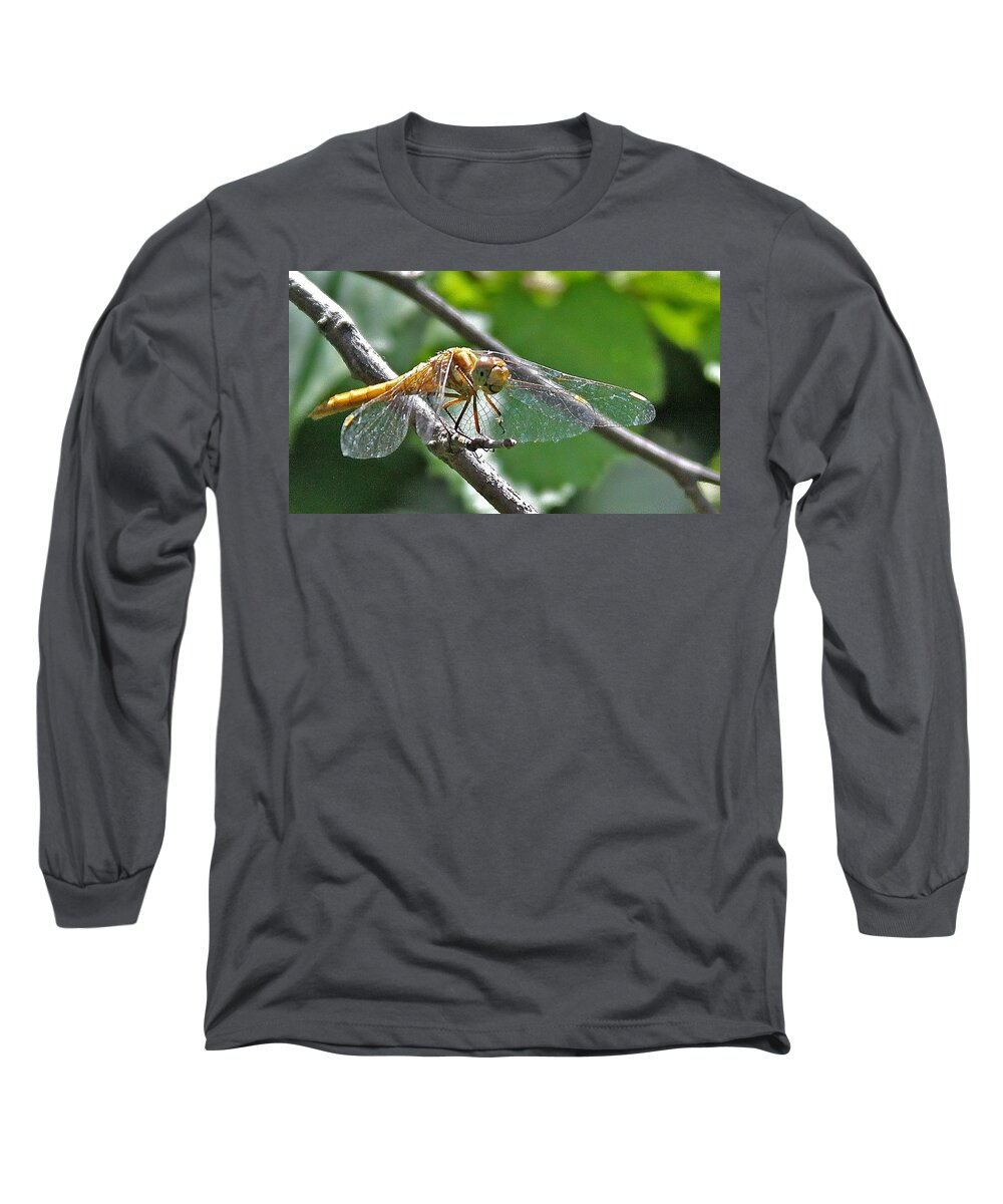Insect Long Sleeve T-Shirt featuring the photograph Happy Dragonfly by Carol Jorgensen