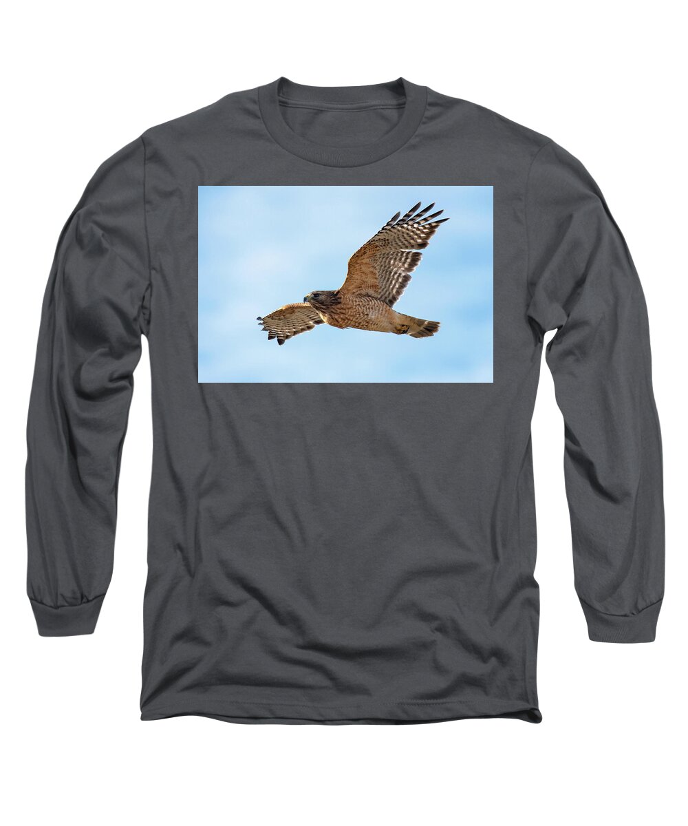 Hawk Long Sleeve T-Shirt featuring the photograph Hawk in Flight by Linda Shannon Morgan