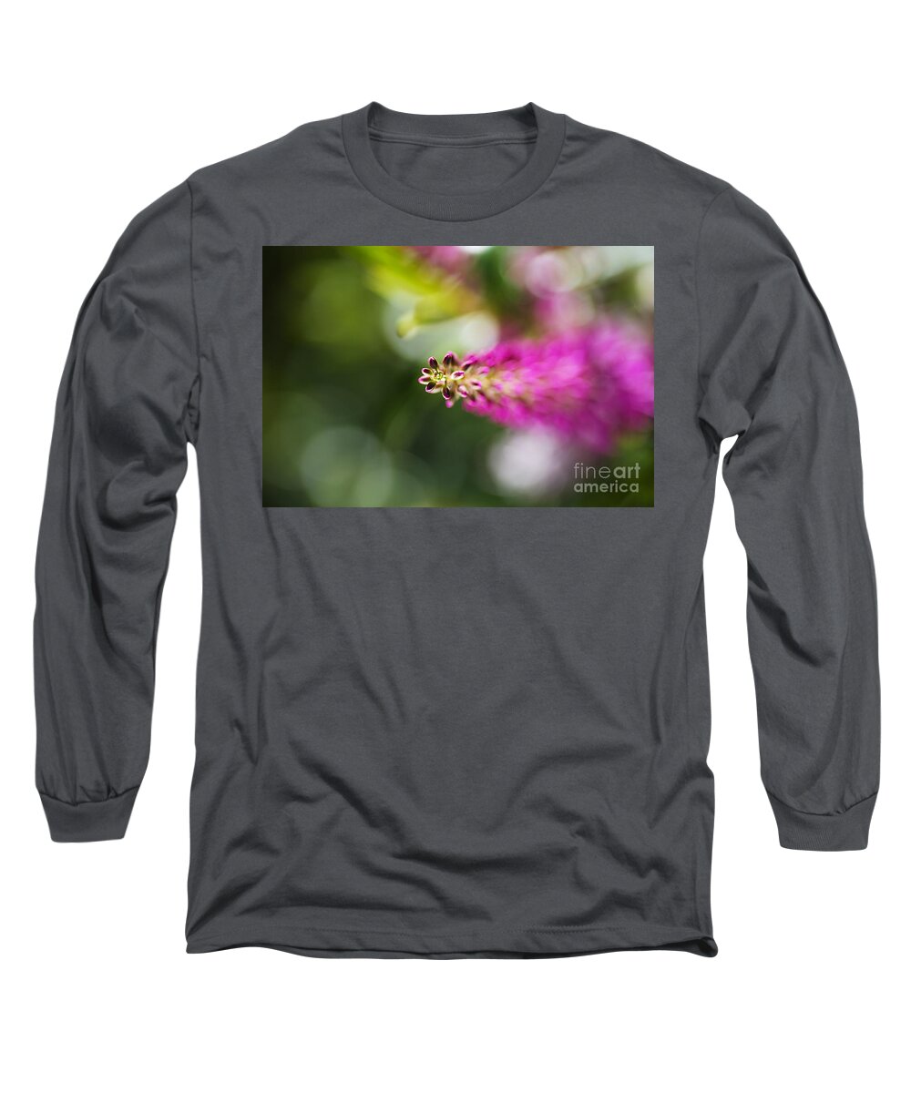 Hebe Painted Nature Long Sleeve T-Shirt featuring the photograph Hebe Painted Nature by Joy Watson