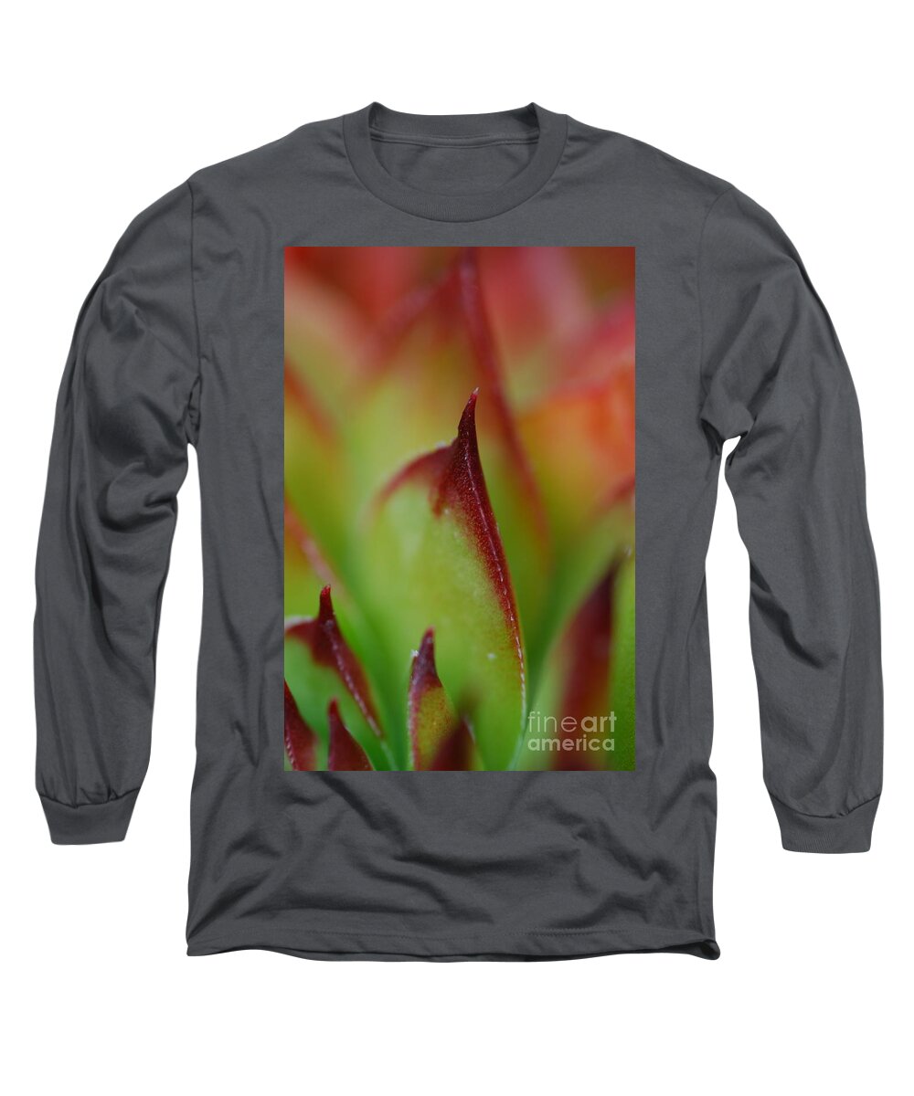 Hens And Chicks Long Sleeve T-Shirt featuring the photograph Hens And Chicks #9 by Stephanie Gambini