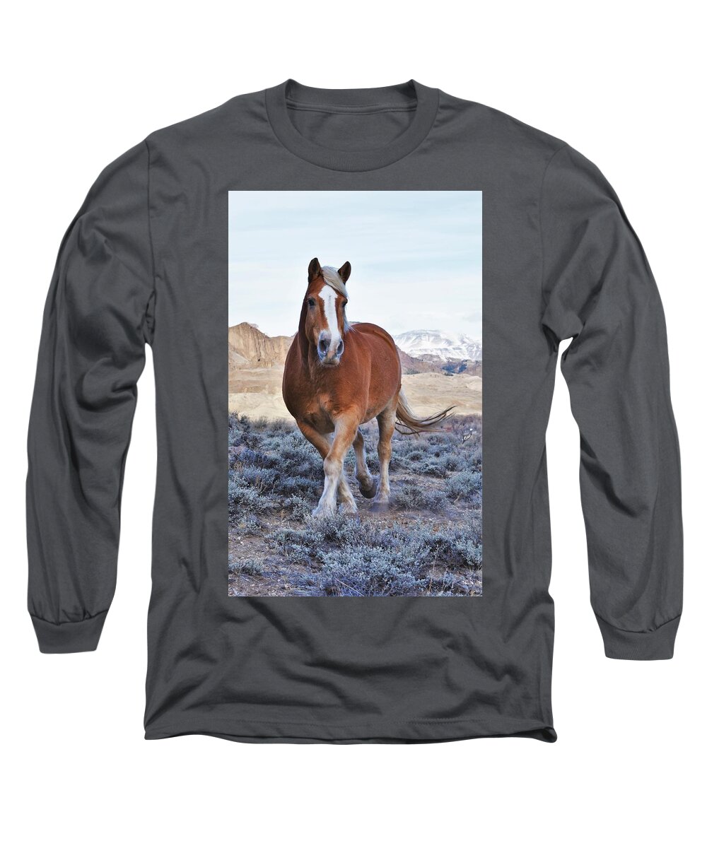 Horse Long Sleeve T-Shirt featuring the photograph Hey Tonka by Alden White Ballard