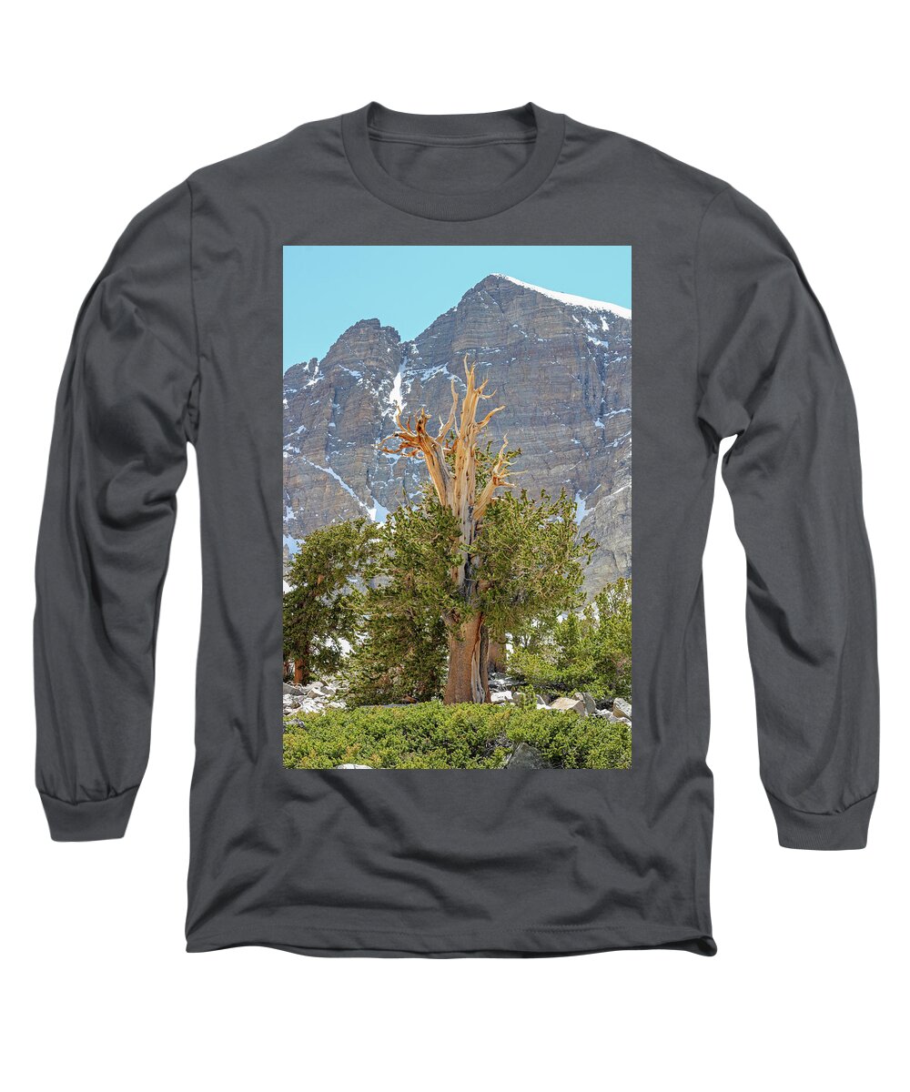 Nevada Long Sleeve T-Shirt featuring the photograph High Elevation Perseverance - Great Basin National Park by Brett Pelletier