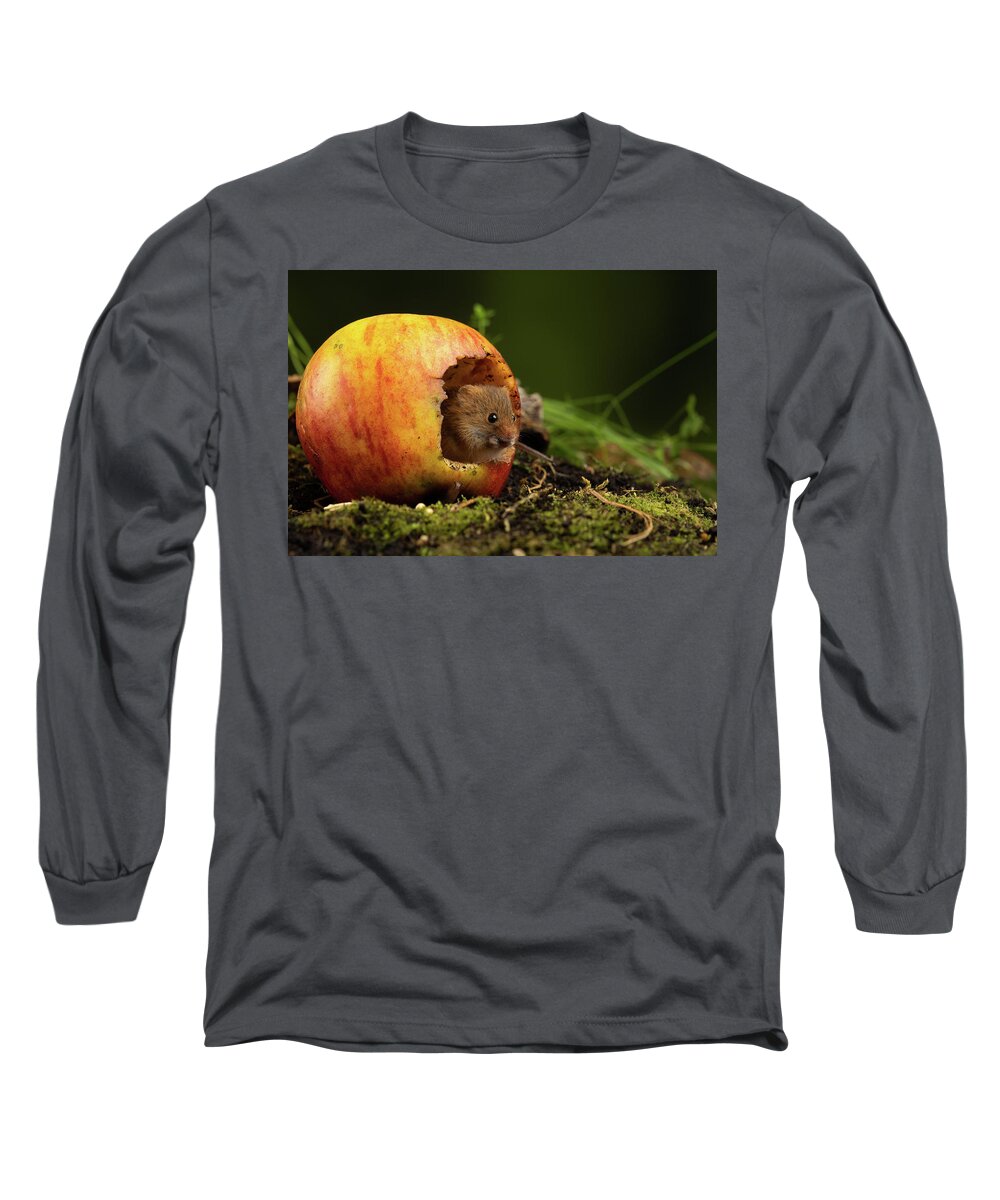 Harvest Long Sleeve T-Shirt featuring the photograph Hm_2351 by Miles Herbert