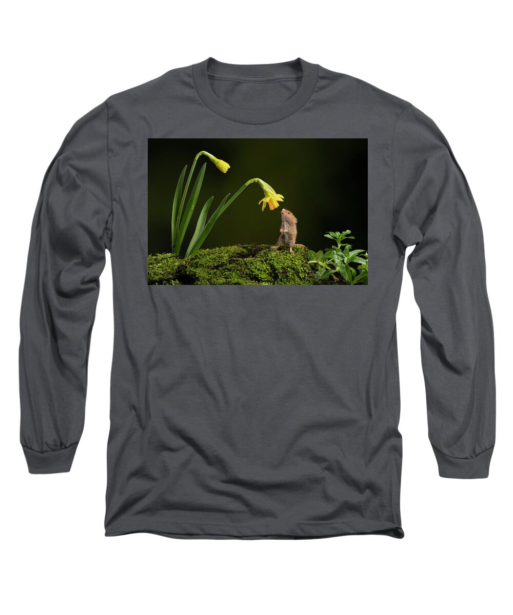 Harvest Long Sleeve T-Shirt featuring the photograph HMdaff03443 by Miles Herbert