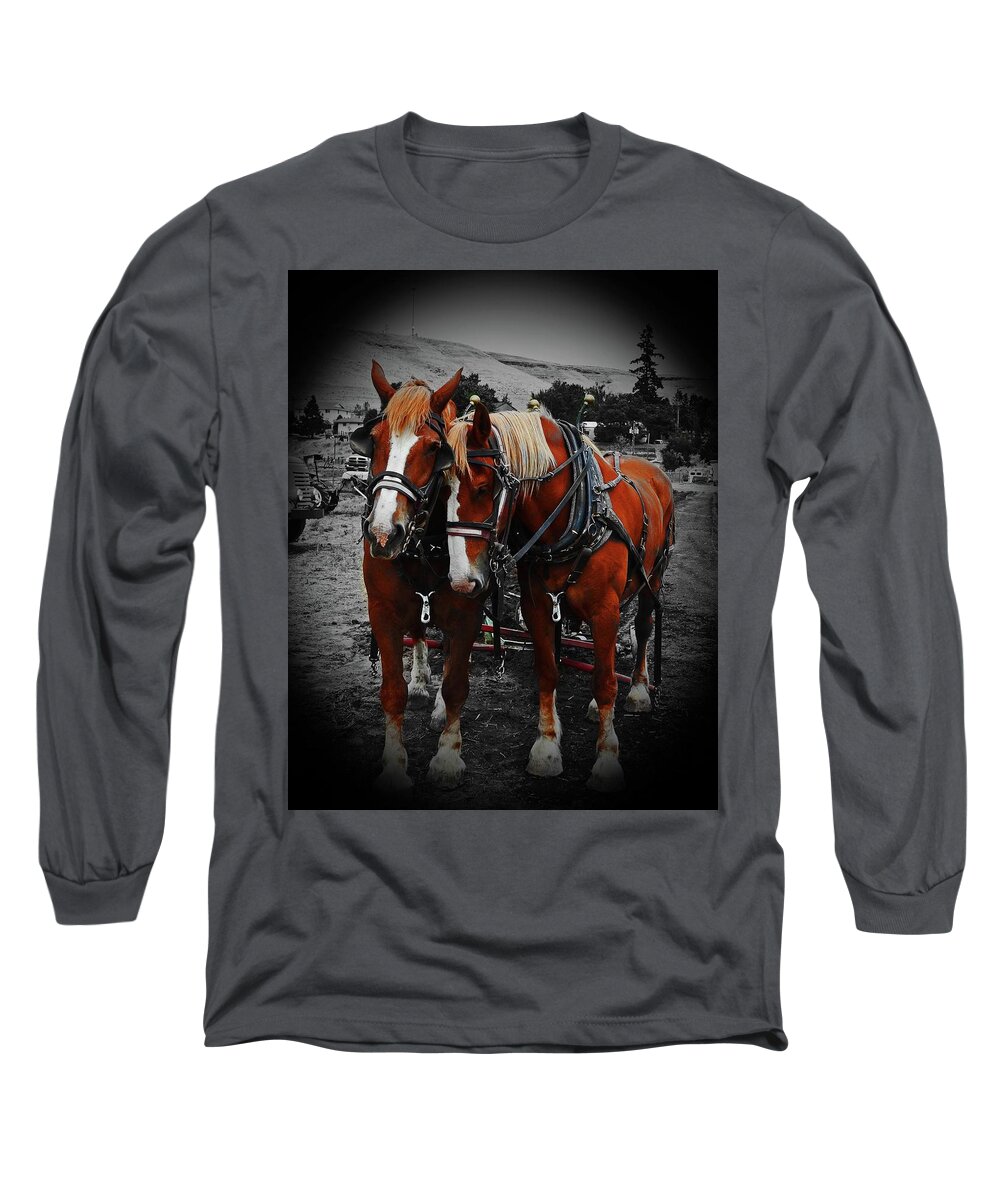 In Focus Long Sleeve T-Shirt featuring the digital art Horse Power by Fred Loring