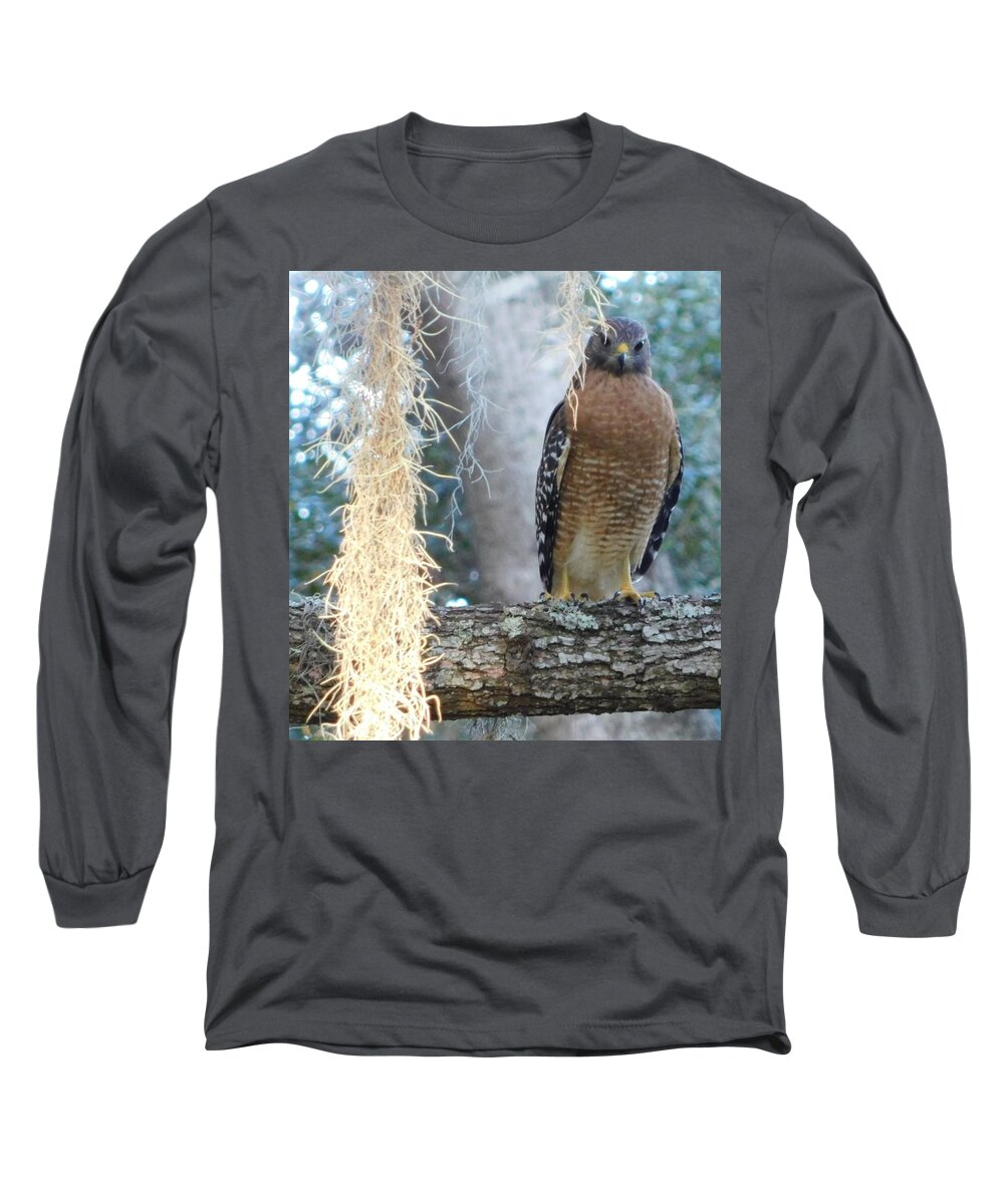 Nature Long Sleeve T-Shirt featuring the photograph Hudson Hawk by Gena Herro