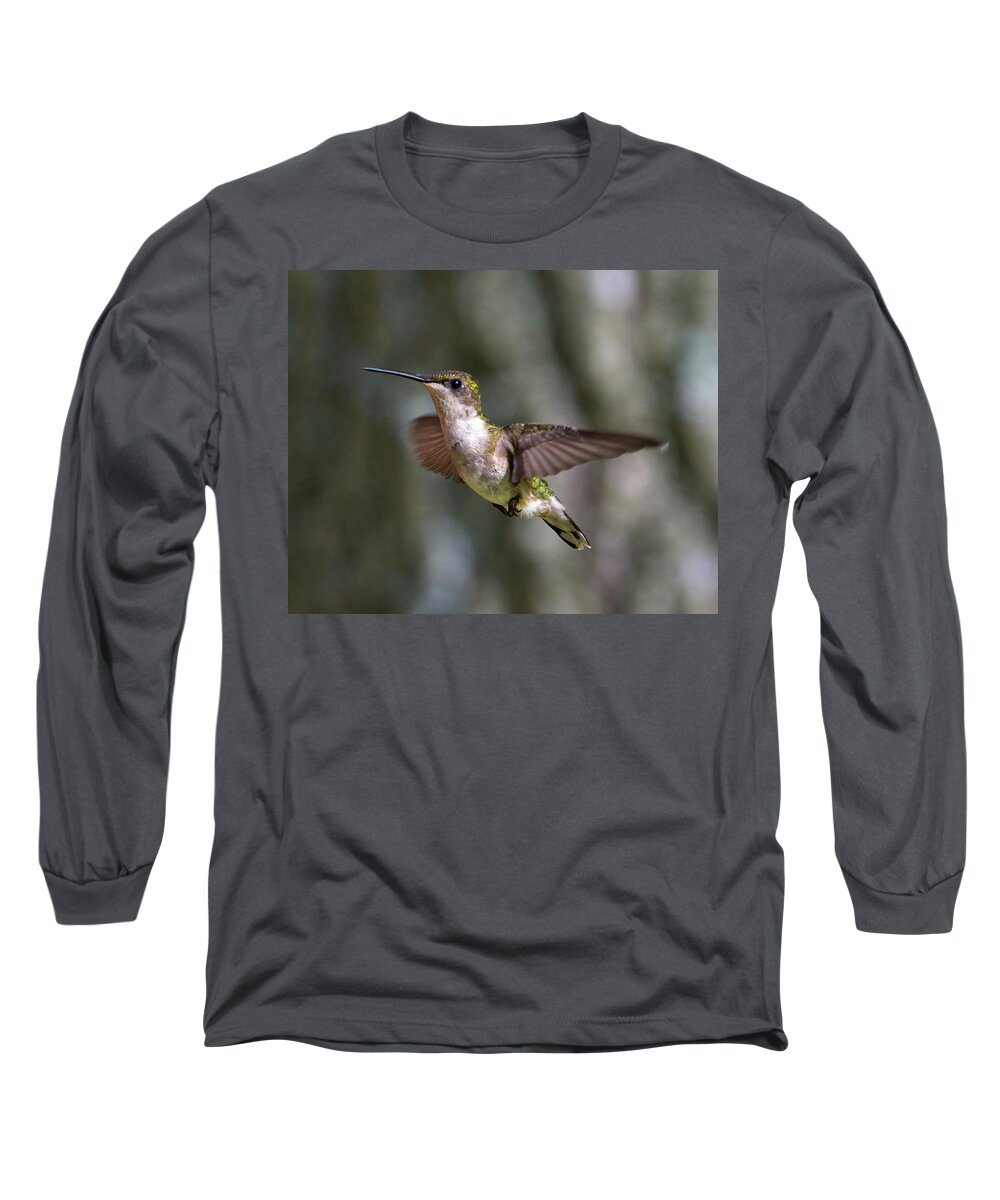 Hummingbird Long Sleeve T-Shirt featuring the photograph Hummingbird 1 by Flinn Hackett