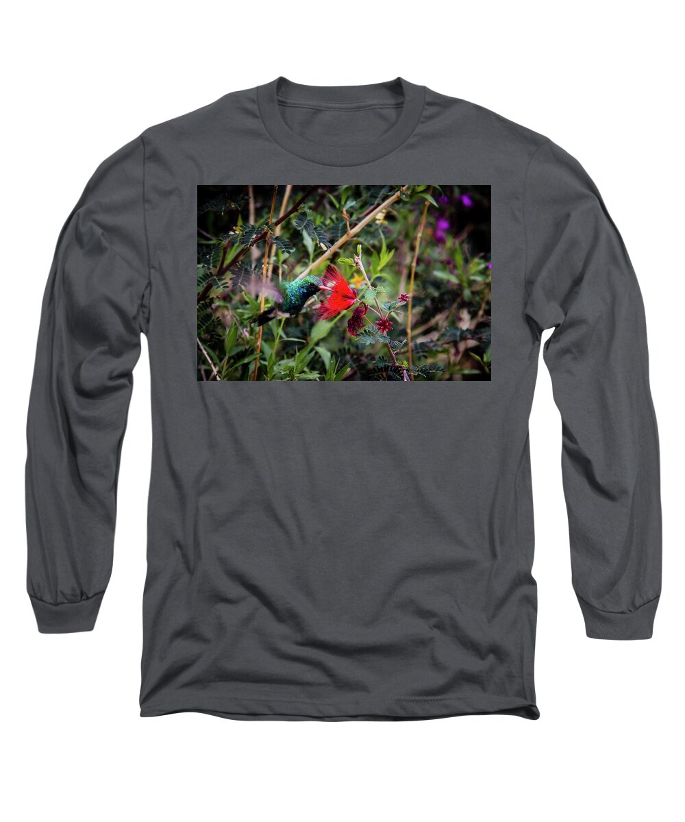 Canyon Long Sleeve T-Shirt featuring the photograph Hummingbird approaching a flower by Craig A Walker