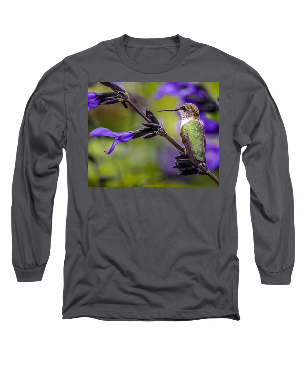 Portrait Long Sleeve T-Shirt featuring the photograph Hummingbird Portrait by Susan Rydberg