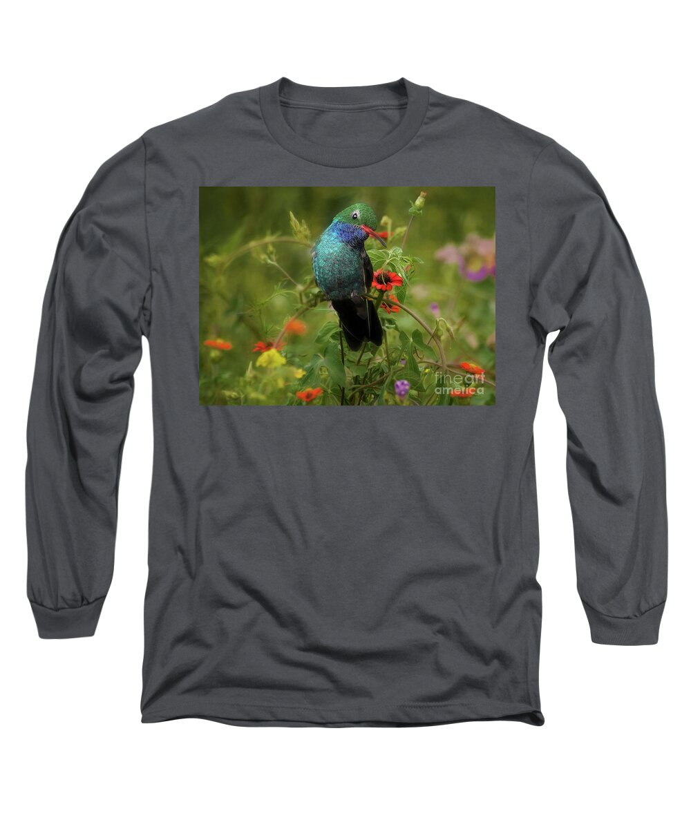 Hummingbird Long Sleeve T-Shirt featuring the photograph Hummingbird With Wild Flowers by John Kolenberg