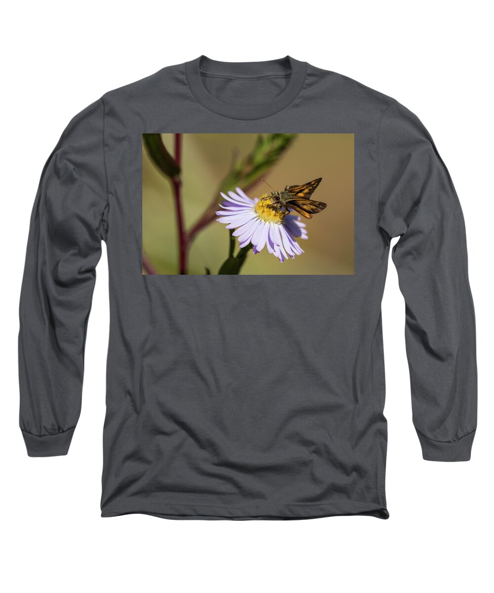 Animals Long Sleeve T-Shirt featuring the photograph Hungry Skipper by Robert Potts