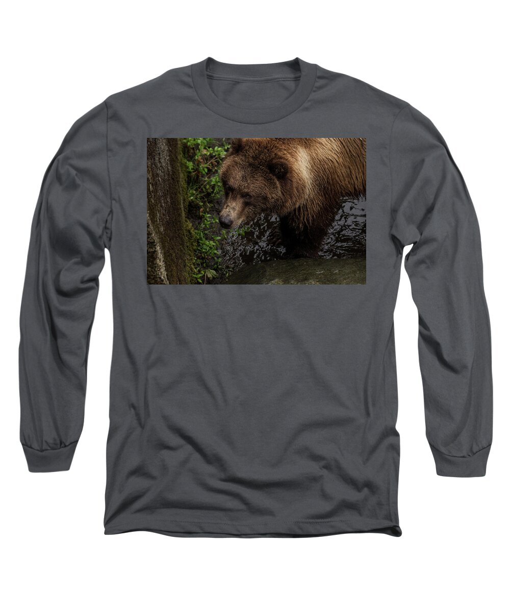 Brown Bear Long Sleeve T-Shirt featuring the photograph I see you by David Kirby