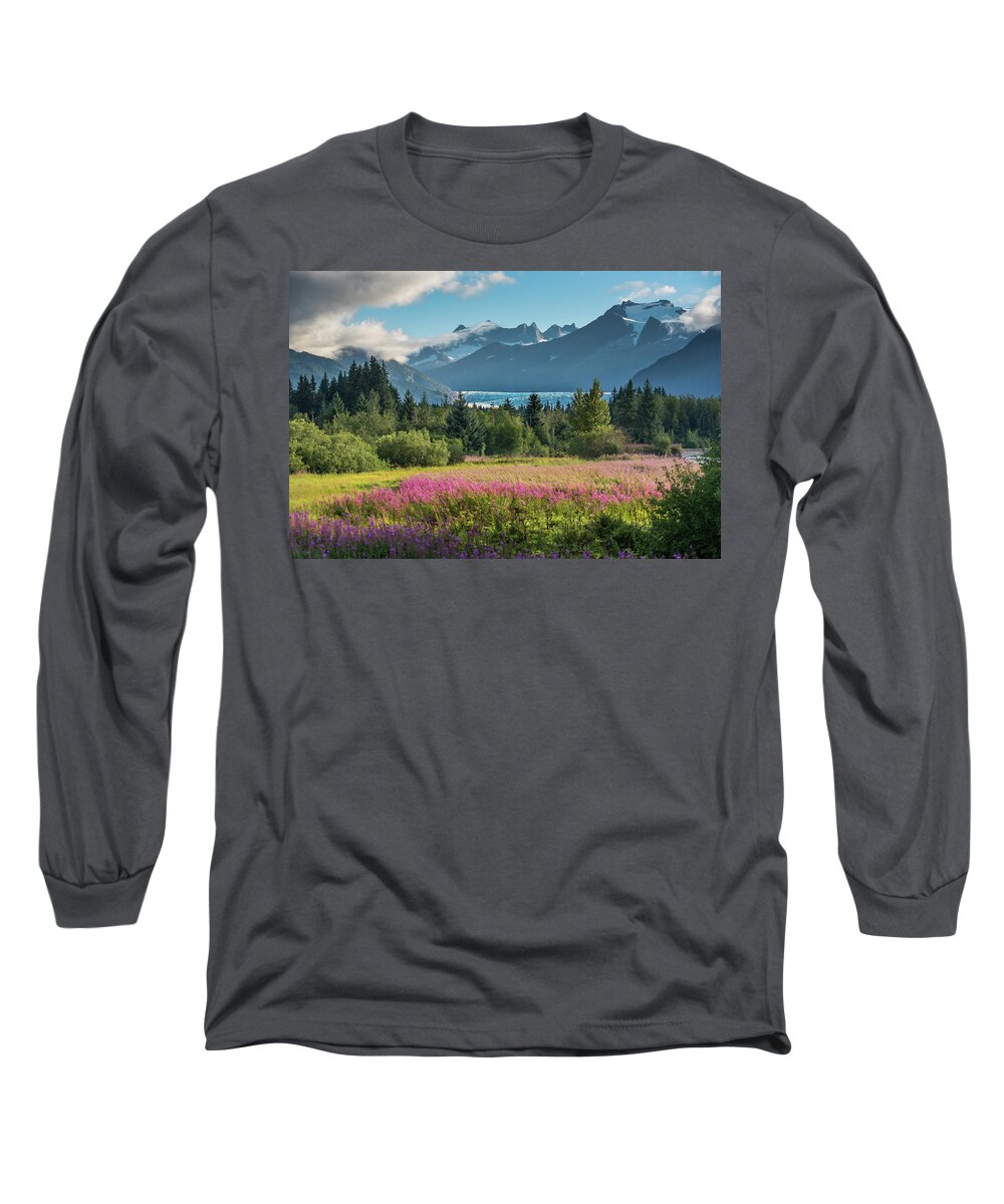 Fireweed Long Sleeve T-Shirt featuring the photograph Ice over Fireweed by David Kirby