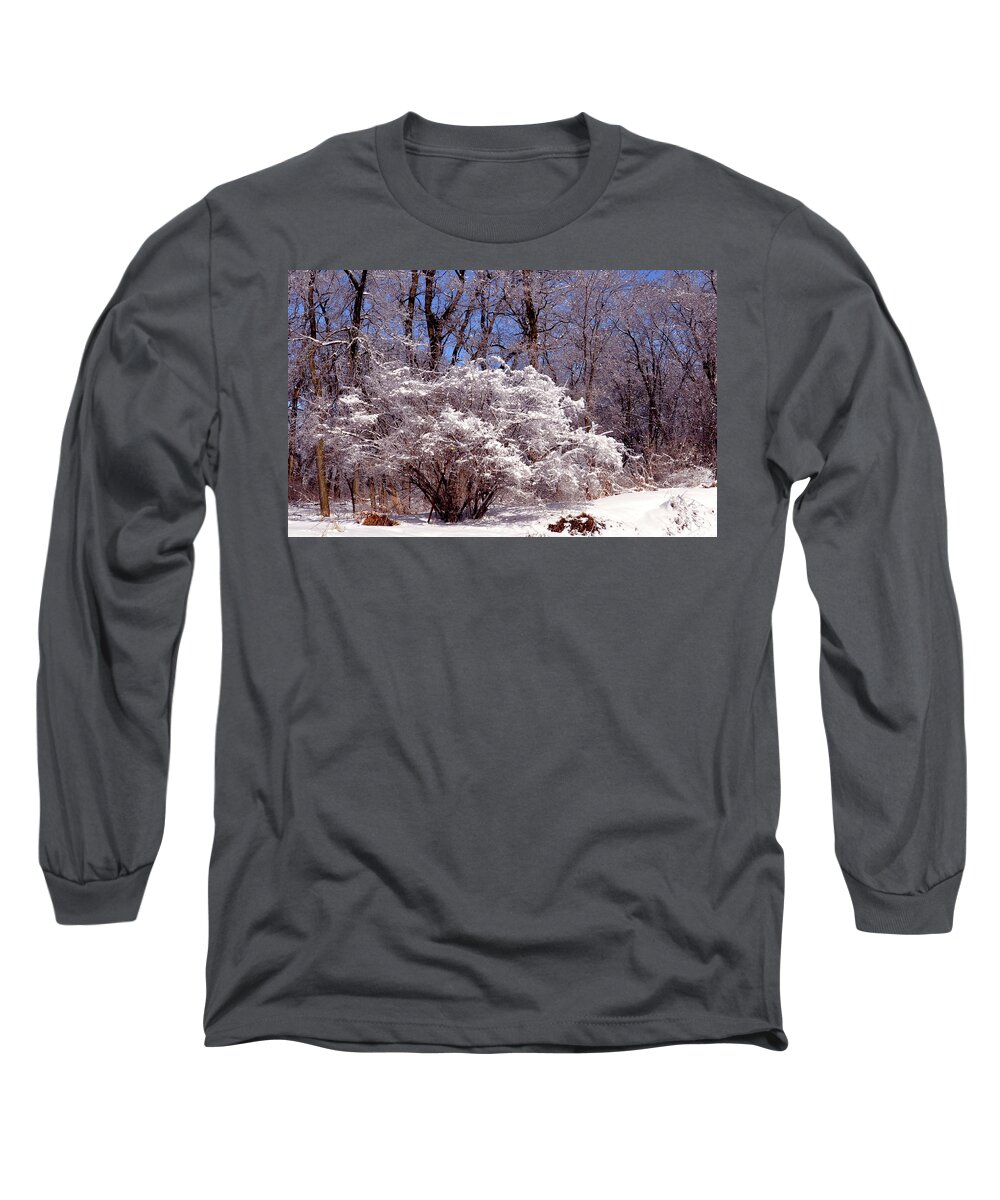 Landscape Long Sleeve T-Shirt featuring the photograph Iced Tree by Rick Hansen