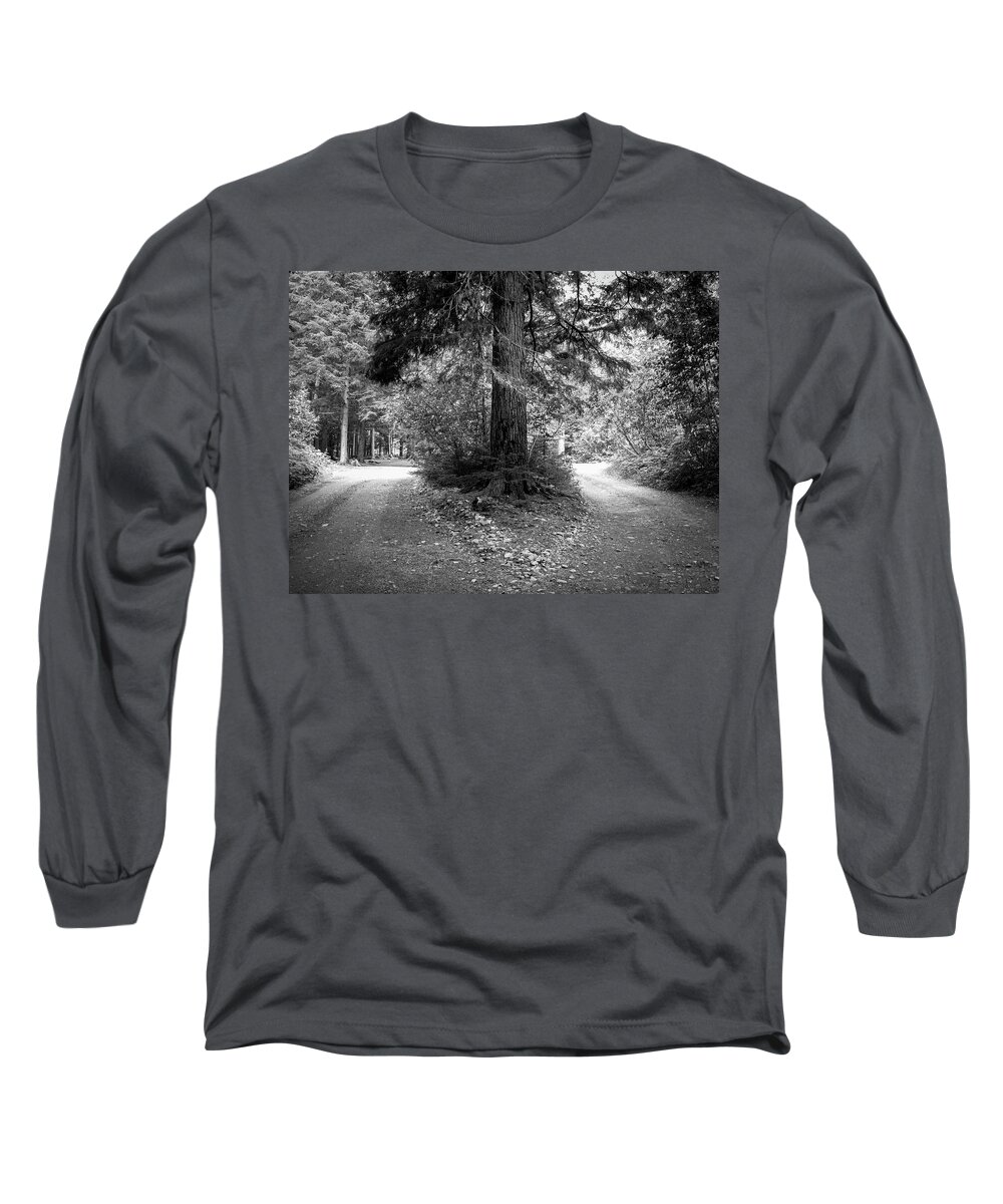 Tree Long Sleeve T-Shirt featuring the photograph If You See a Fork in the Road, Take It by Mary Lee Dereske