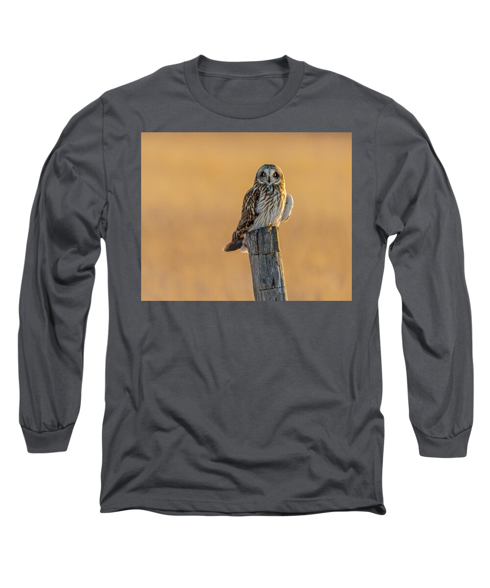 Short-eared Owl Long Sleeve T-Shirt featuring the photograph In The Glow by Yeates Photography