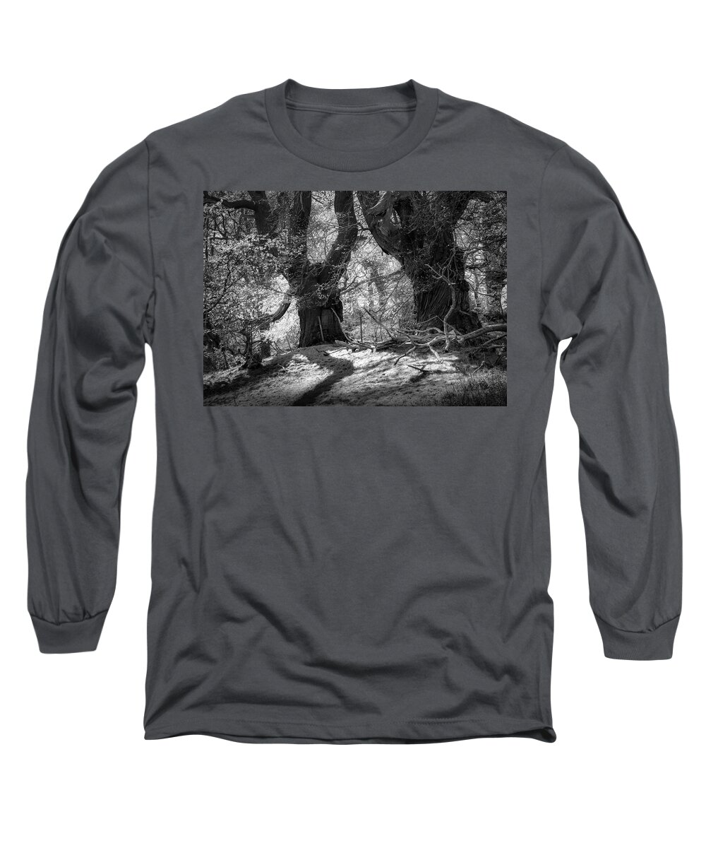 Landscape Long Sleeve T-Shirt featuring the photograph In the moonlight 3 by Remigiusz MARCZAK
