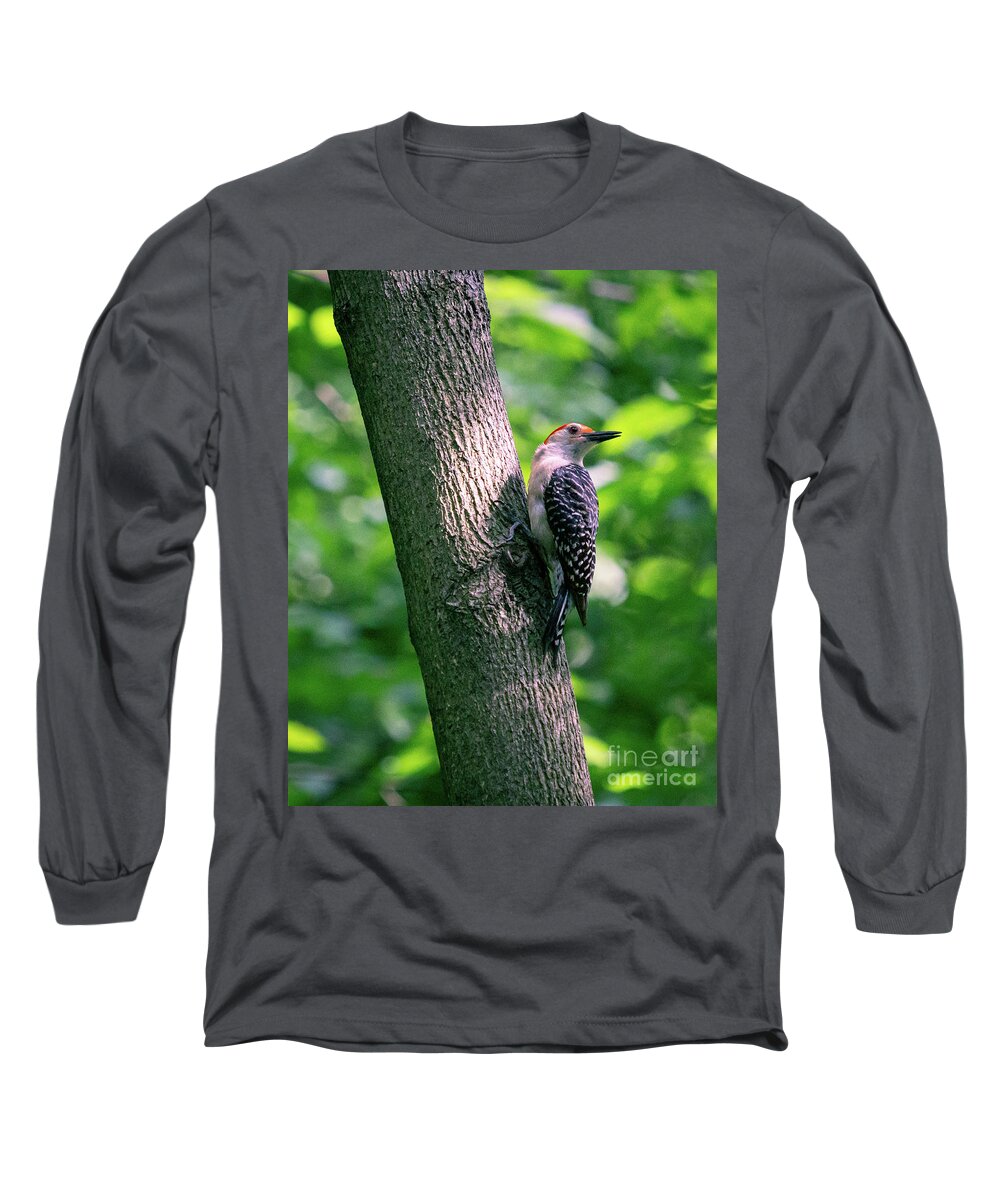 Woodpecker Long Sleeve T-Shirt featuring the photograph In the Sunlight by Alyssa Tumale
