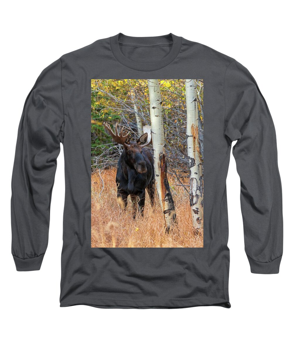 Moose Long Sleeve T-Shirt featuring the photograph In the Trees by Darlene Bushue
