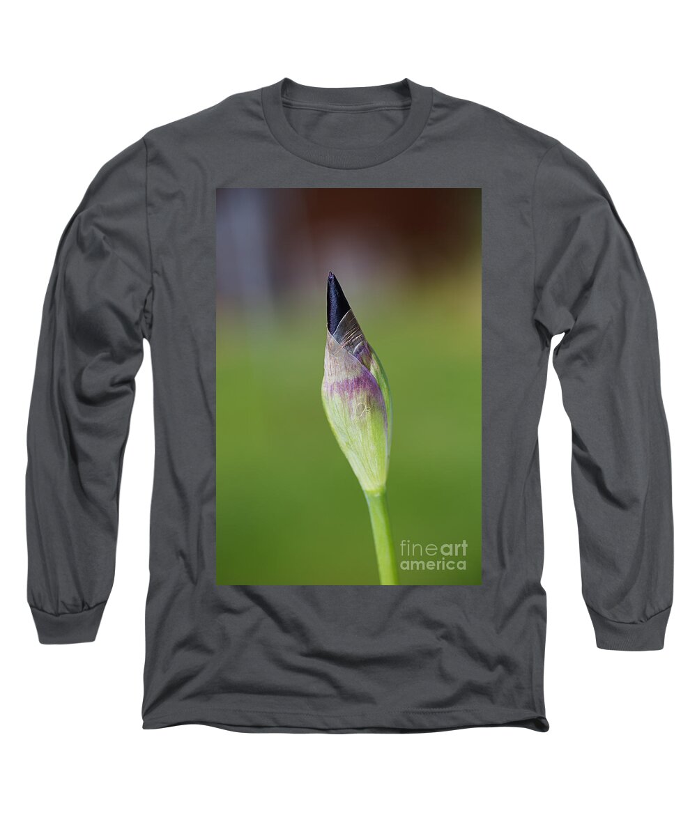 Iridaceae Long Sleeve T-Shirt featuring the photograph Iris Bud Purple To Black by Joy Watson