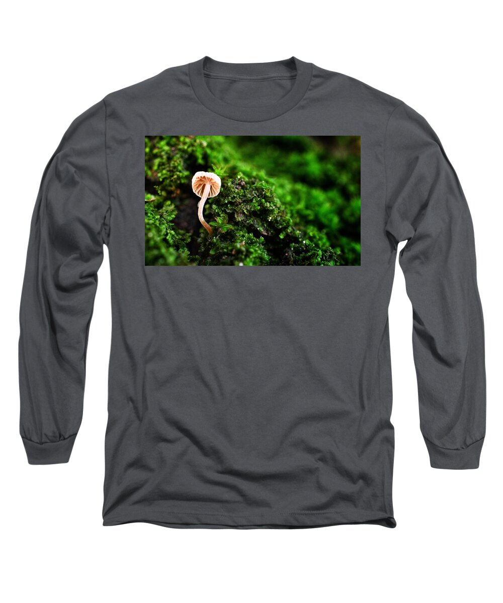 Photo Long Sleeve T-Shirt featuring the photograph Itty Bitty Mushroom by Evan Foster