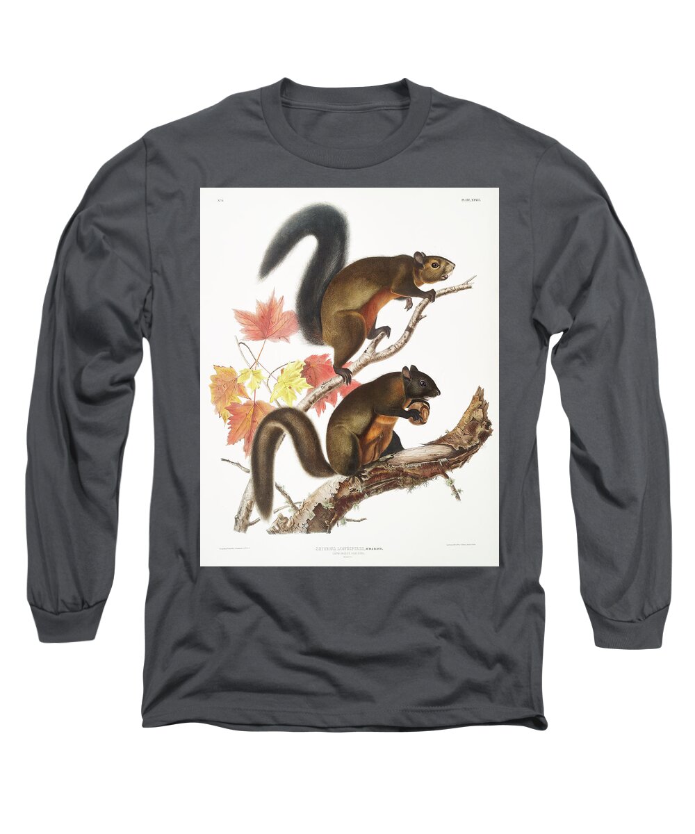 Squirrel Long Sleeve T-Shirt featuring the mixed media John Woodhouse Audubon by World Art Collective