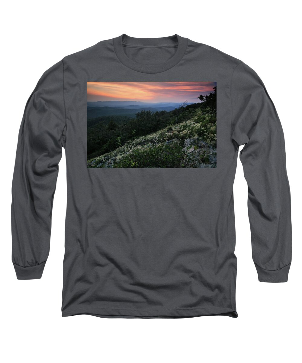 Flowers Long Sleeve T-Shirt featuring the photograph Jointweed Flowers at Sunset - Queen Wilhelmina State Park by William Rainey