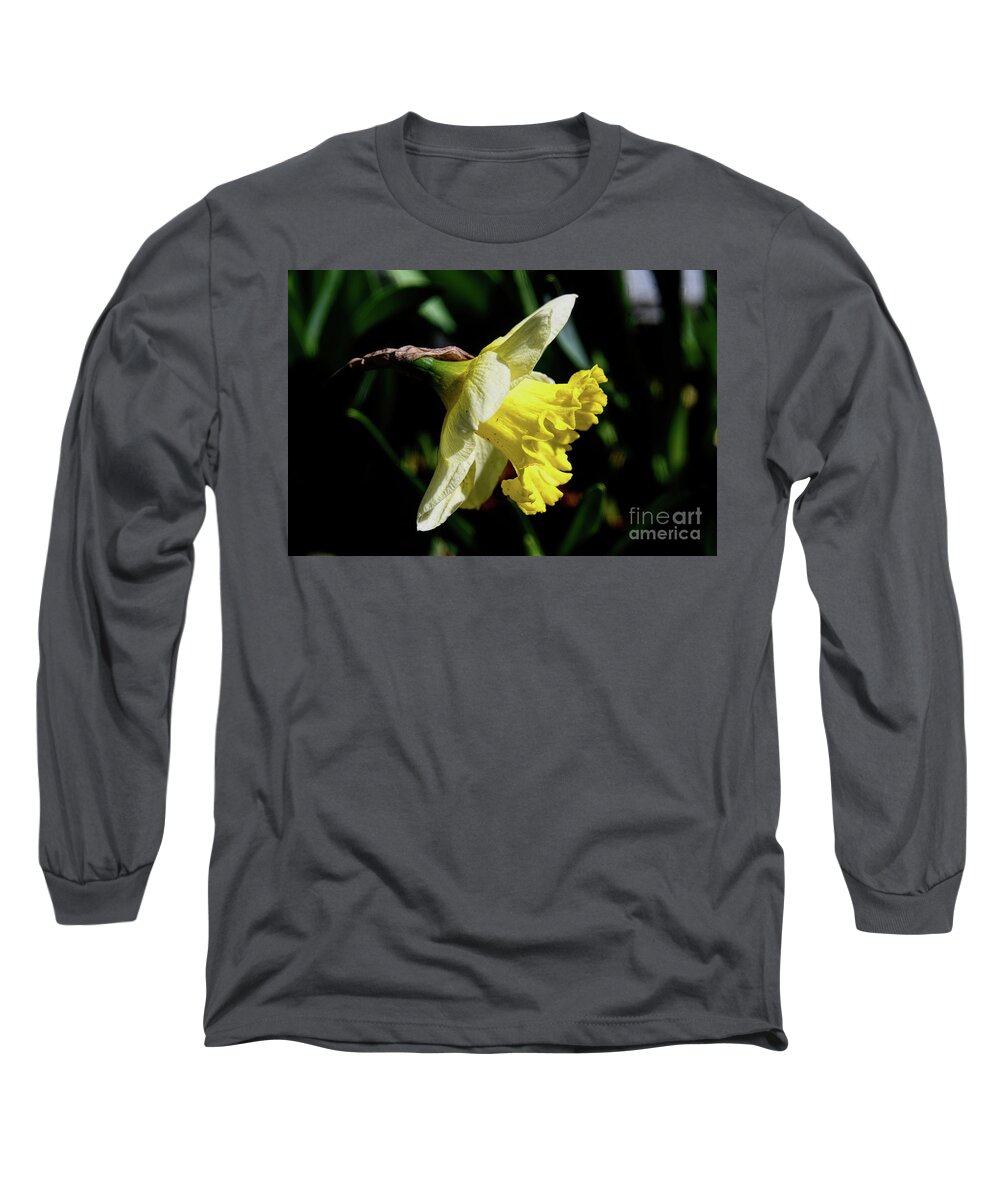 Flower Long Sleeve T-Shirt featuring the photograph Jonquil Daffodil - Side View by Diana Mary Sharpton