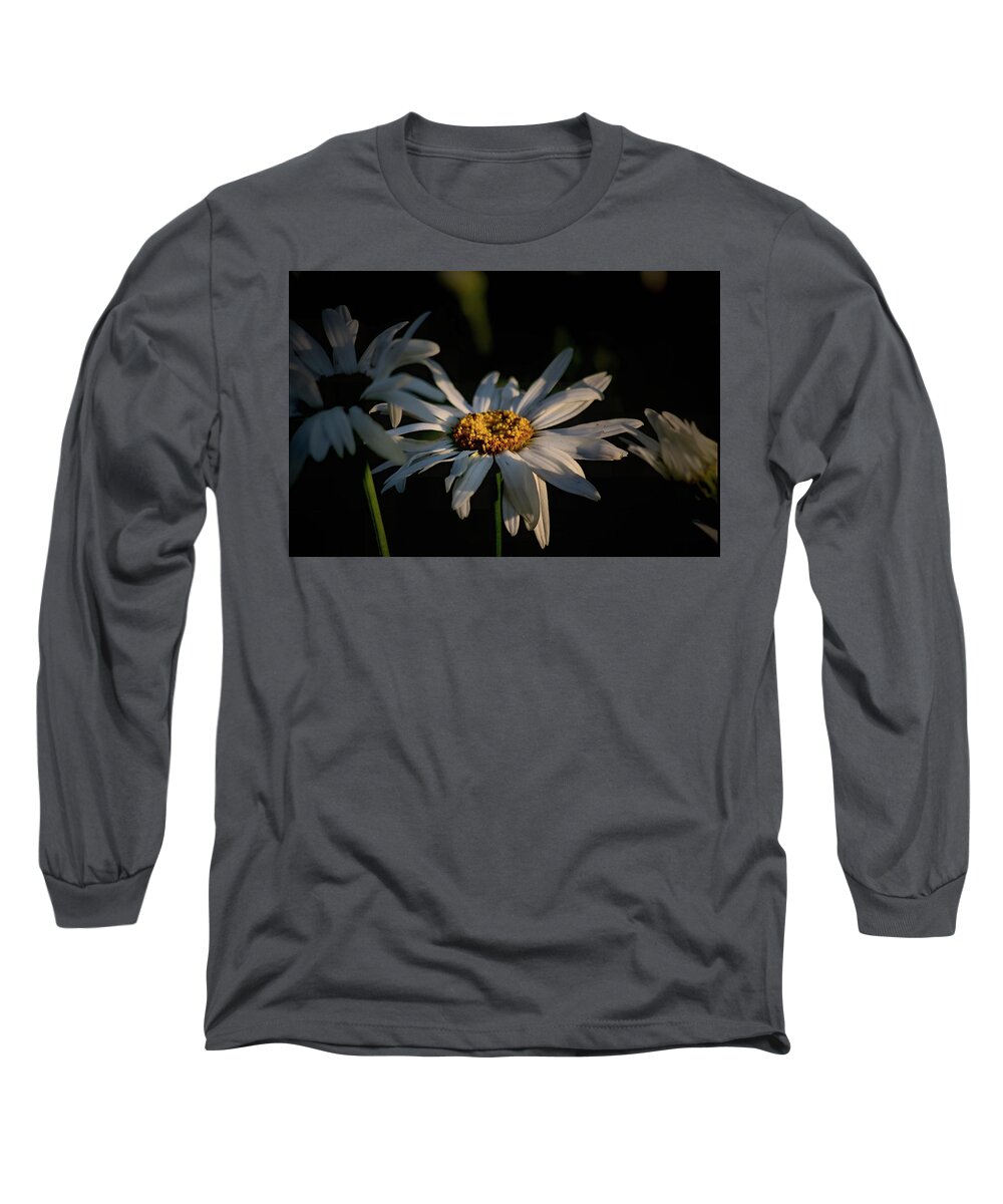 Plants Long Sleeve T-Shirt featuring the photograph Just the right light by Buddy Scott