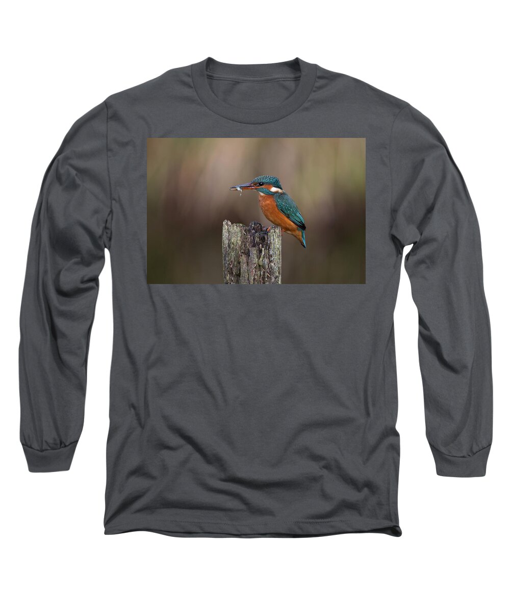 Kingfisher Long Sleeve T-Shirt featuring the photograph Kingfisher With Fish by Pete Walkden