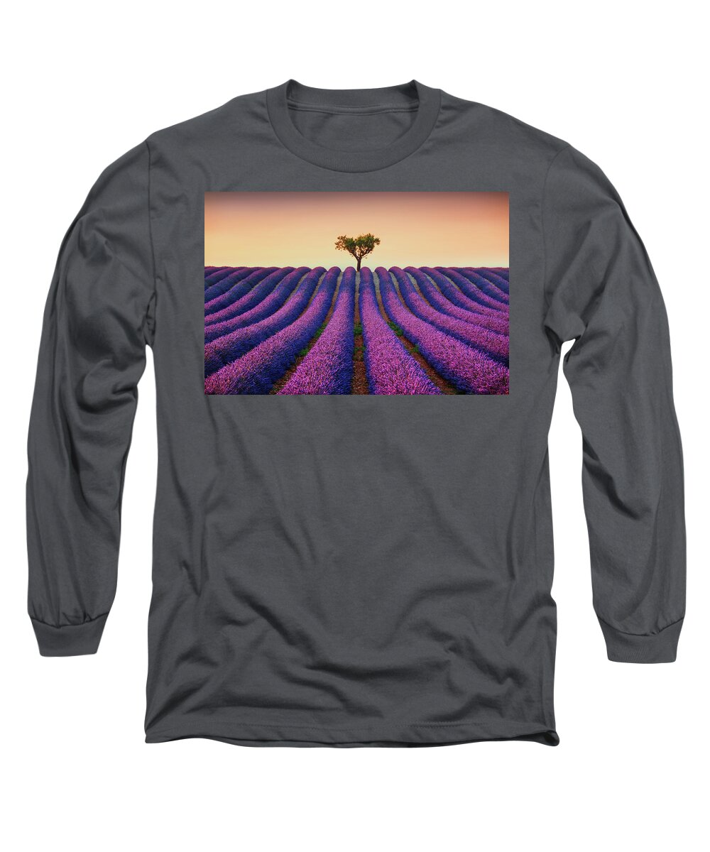 Lavender Long Sleeve T-Shirt featuring the photograph Lavender Fields and Lonely Tree by Stefano Orazzini