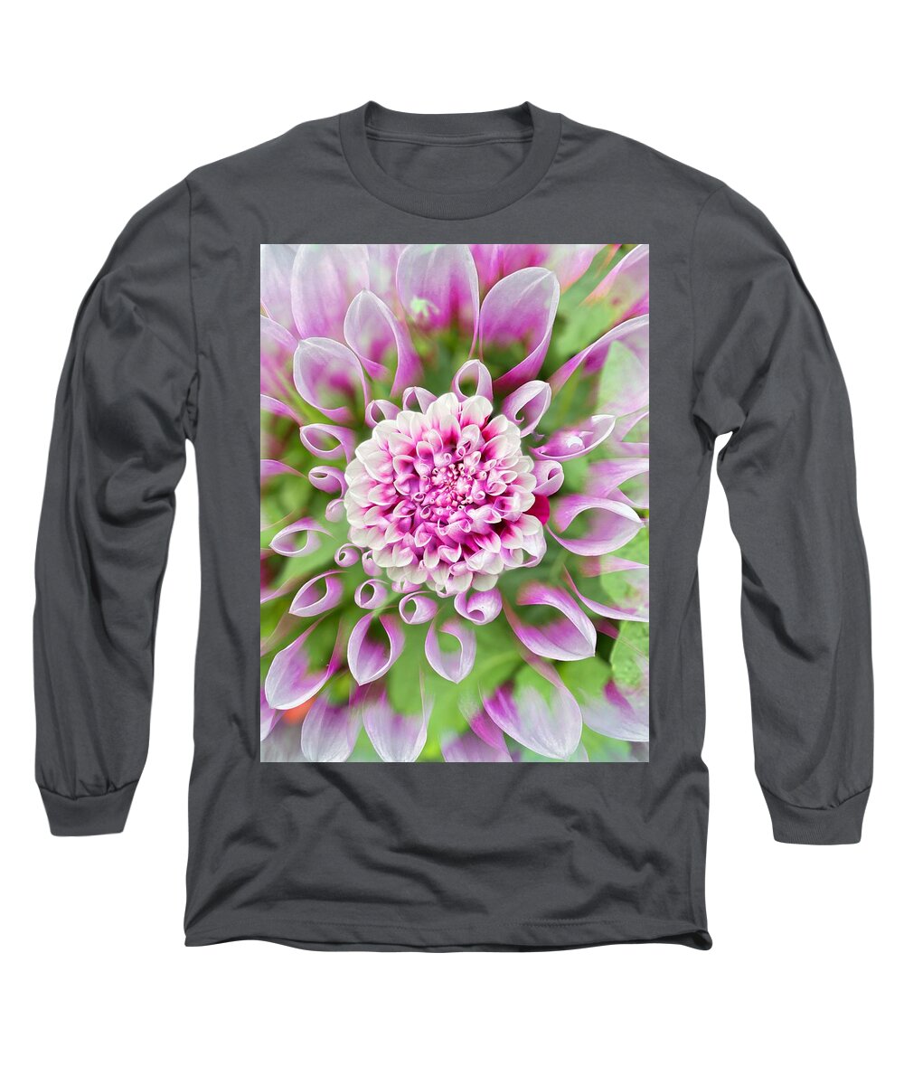 Dahlia Long Sleeve T-Shirt featuring the photograph Lavender and White Dahlia by Jerry Abbott