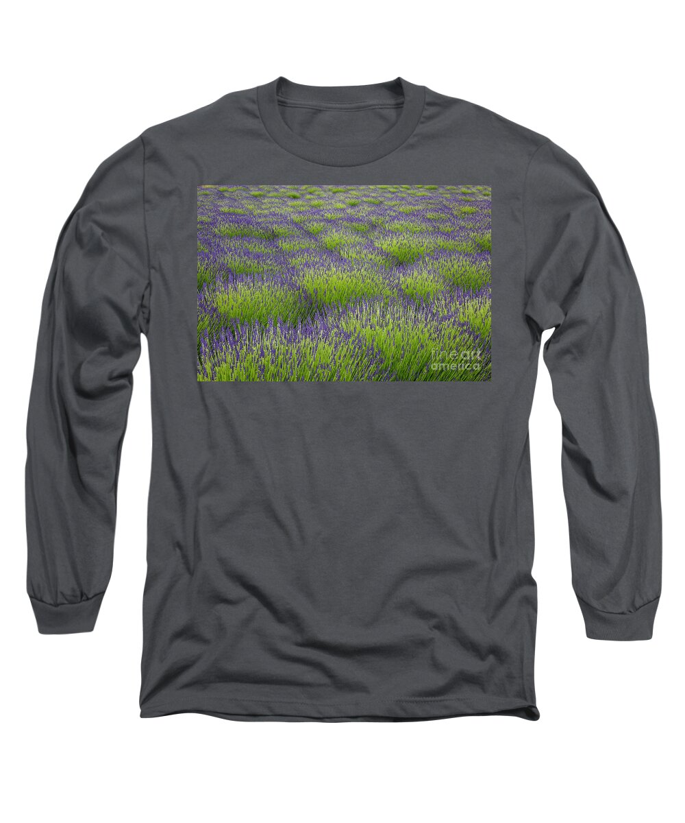 Photography Long Sleeve T-Shirt featuring the photograph Lavender Fields Forever by Erin Marie Davis