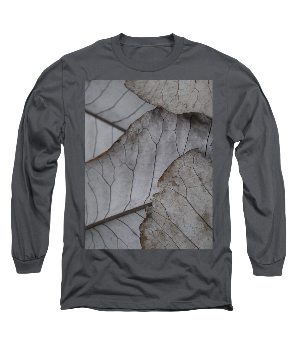 Jane Ford Long Sleeve T-Shirt featuring the photograph Layersof Leaves by Jane Ford