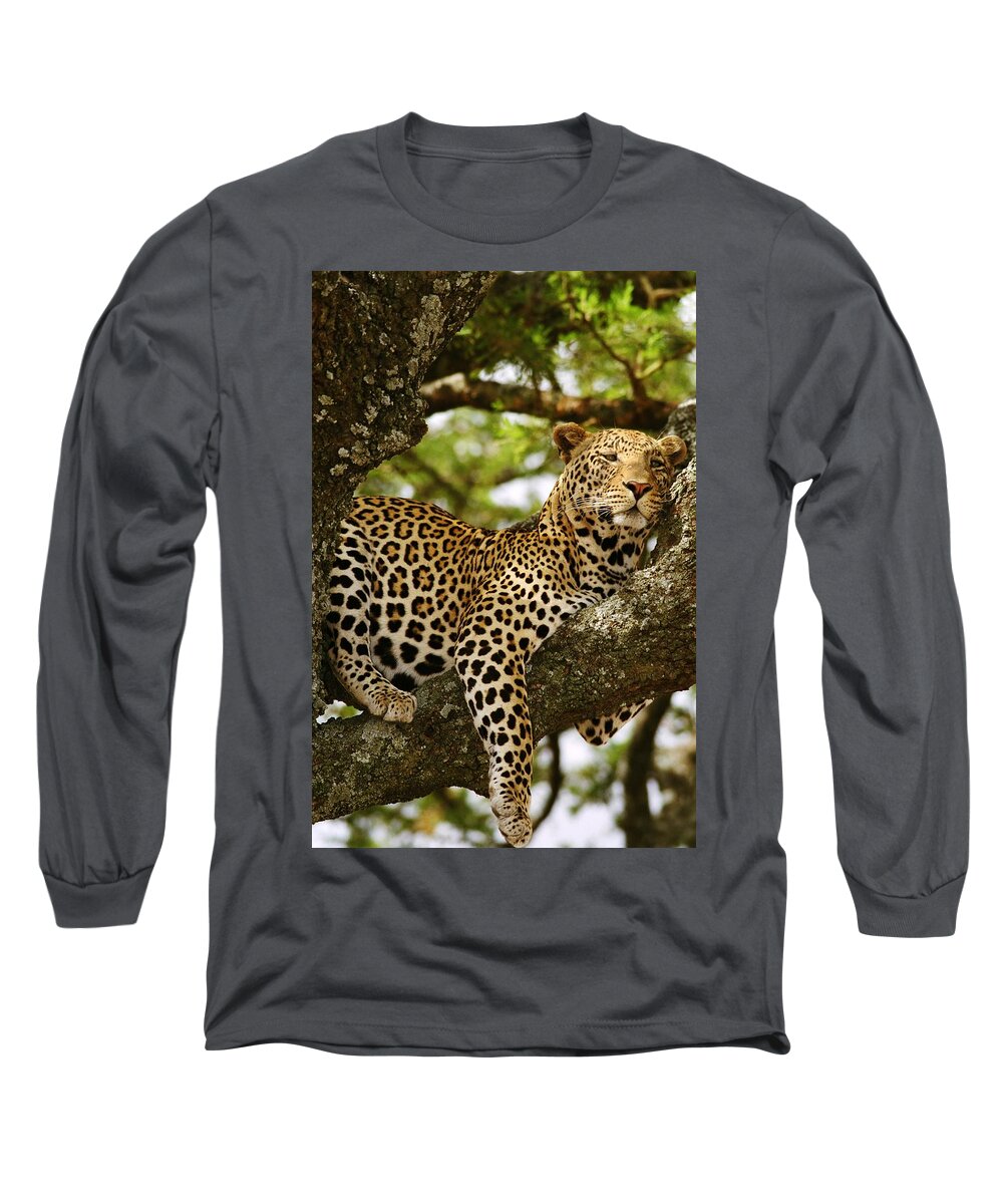 African Leopard Long Sleeve T-Shirt featuring the photograph Leopard in Tree, on Safari by Bonnie Colgan