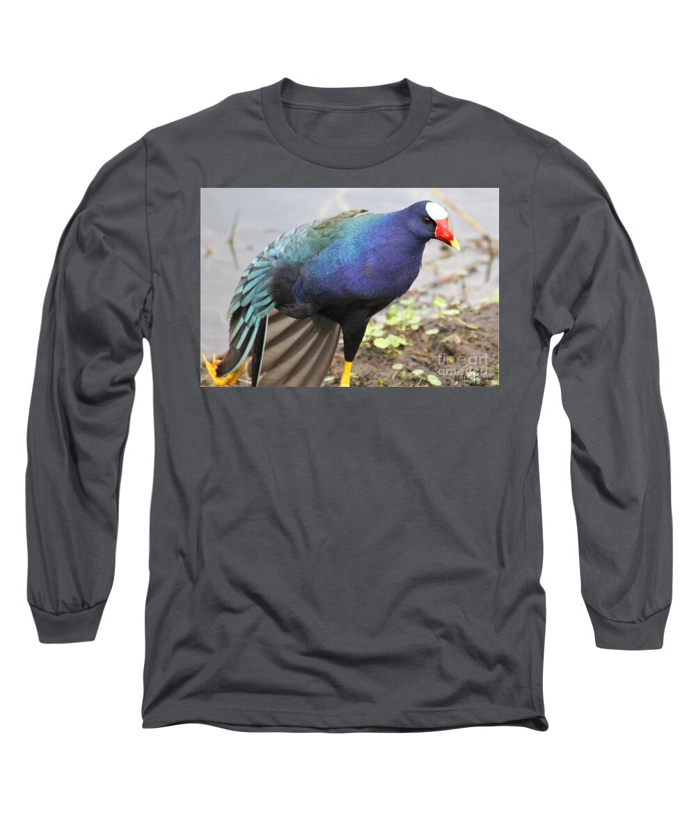  Long Sleeve T-Shirt featuring the photograph Lets Dance by Philip And Robbie Bracco