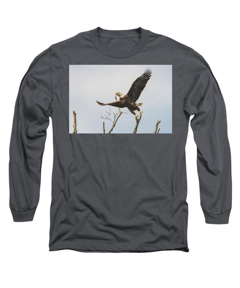 Bald Eagle Long Sleeve T-Shirt featuring the photograph Liftoff by Linda Shannon Morgan