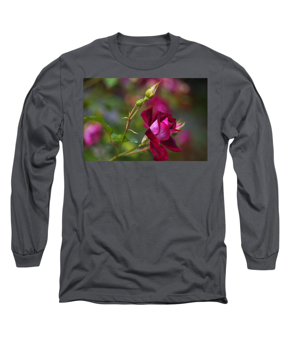 Rose Long Sleeve T-Shirt featuring the photograph Like Velvet Rose by Joy Watson