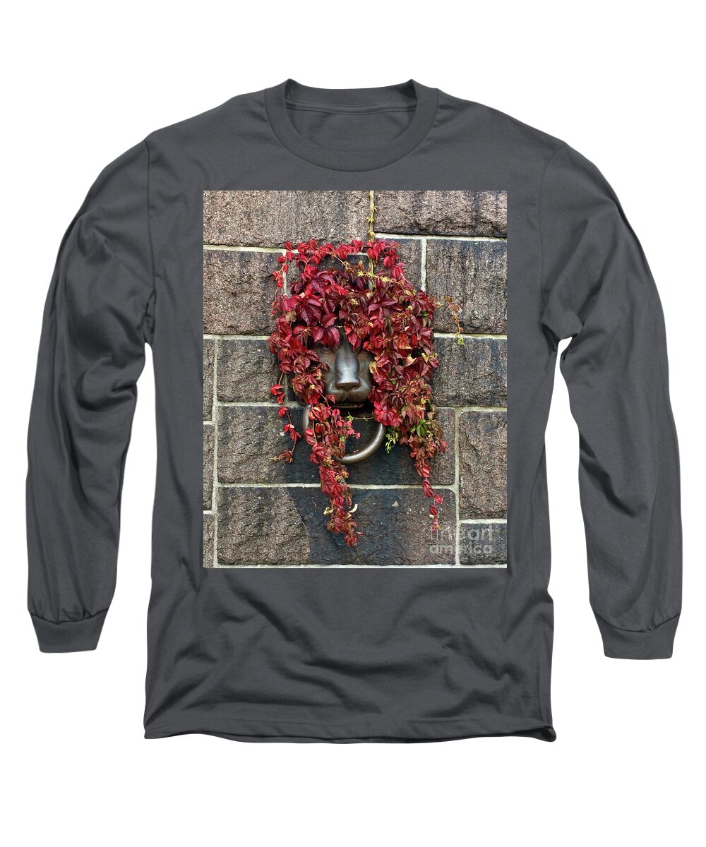 Lion Long Sleeve T-Shirt featuring the photograph Lion head and autumn leaves by Natalia Wallwork