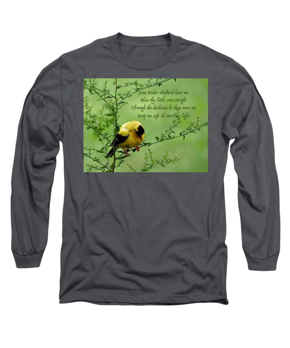 Goldfinch Long Sleeve T-Shirt featuring the photograph Little Prayer by Alida M Haslett
