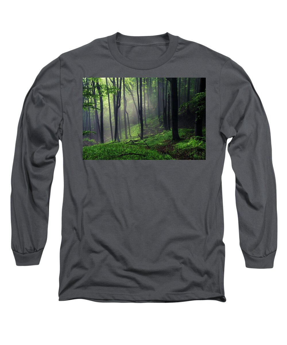 Mist Long Sleeve T-Shirt featuring the photograph Living Forest by Evgeni Dinev