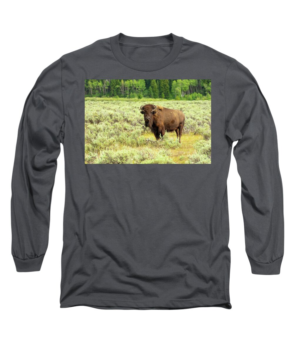 Buffalo Long Sleeve T-Shirt featuring the photograph Lone Teton Buffalo by Tara Krauss